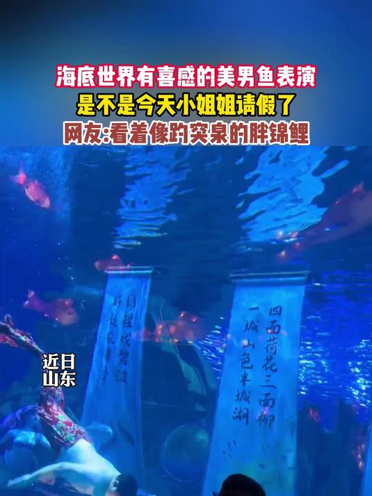 海底世界有喜感的美男鱼表演,是不是今天小姐姐请假了