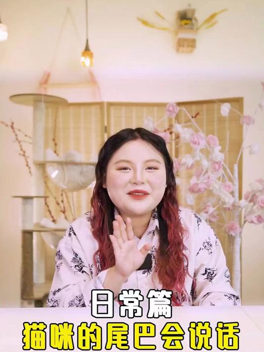 猫咪对你摇尾巴，这些情绪暗号你都看懂了吗 猫尾巴