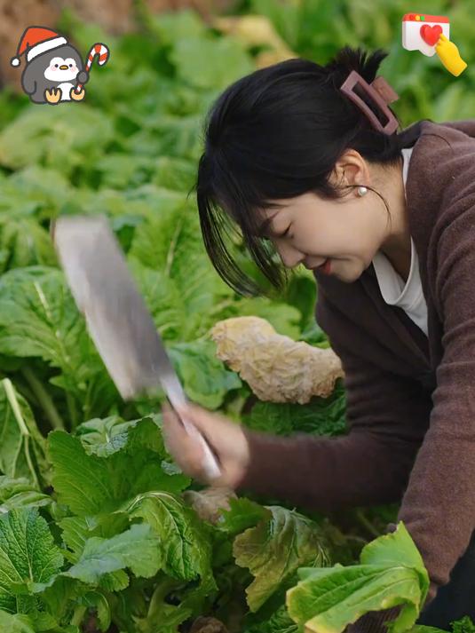 正宗涪陵榨菜丝美味下饭菜真的太好吃了!