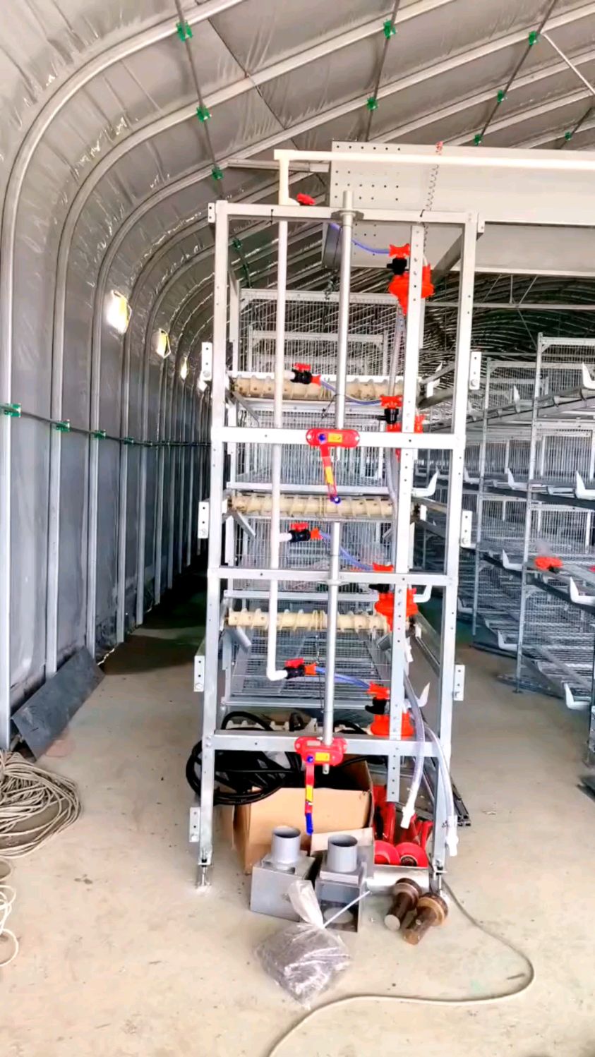 4层7列笼养肉鸡棚，一栋养鸡大棚能养三万多只肉鸡。