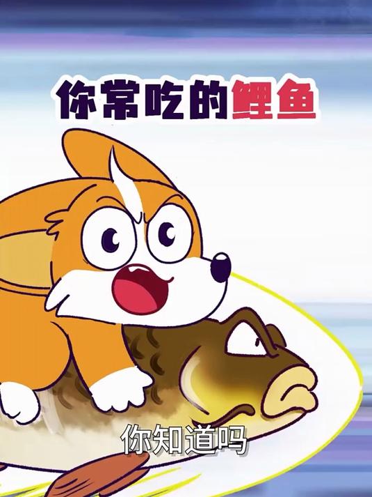 你常吃的鲤鱼,快把美国人逼疯了!