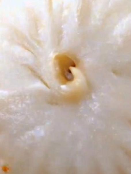 素馅包子这样做给肉都不换