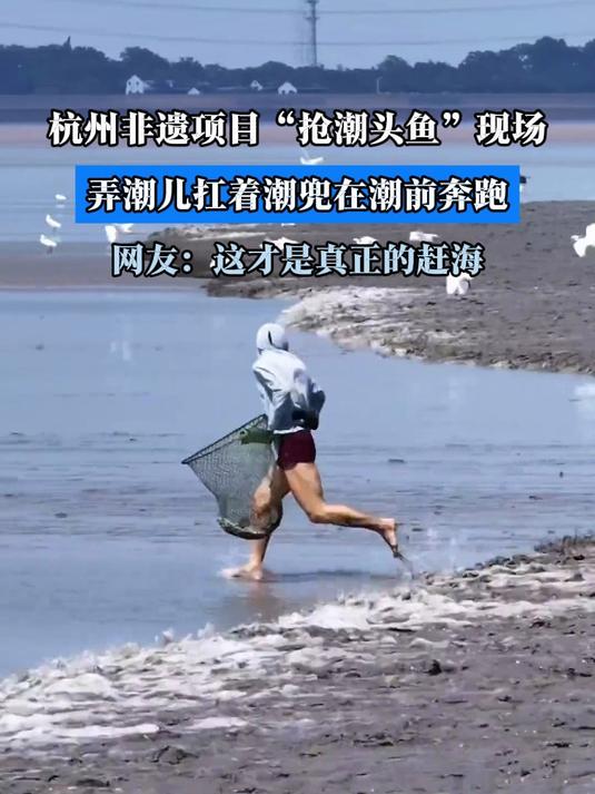 杭州非遗项目“抢潮头鱼”现场,扛着潮兜在潮前奔跑,这才是赶海