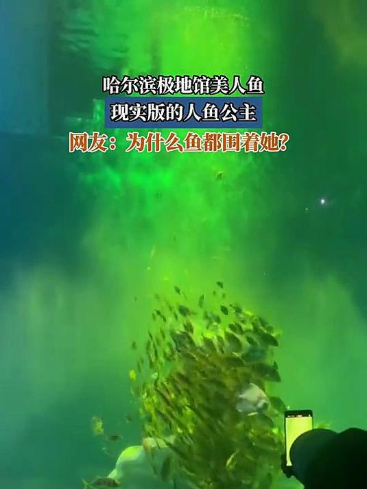 哈尔滨极地馆美人鱼,现实版的人鱼公主,网友:为什么鱼都围着她