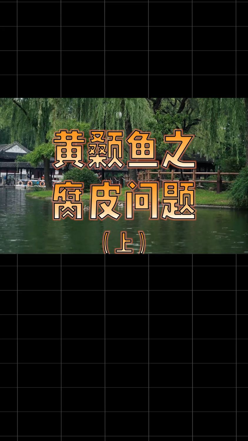 黄颡鱼全身腐烂,你见过吗?