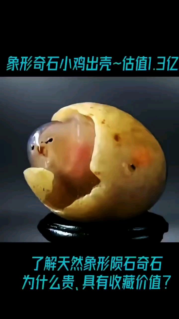 天然玛瑙奇石,小鸡出壳