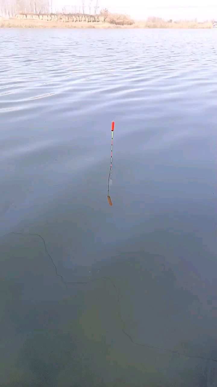 钓鱼经验口诀 你学会了吗