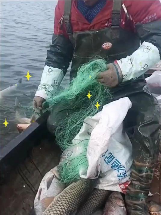 绿丝三层沉网!加重绳包坠,粘网挂网通捕鲫鲤草鱼超好用!