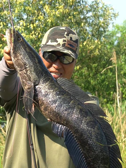 路亚雷强黑鱼打黑 这次游钓来到了祖国最东方同江