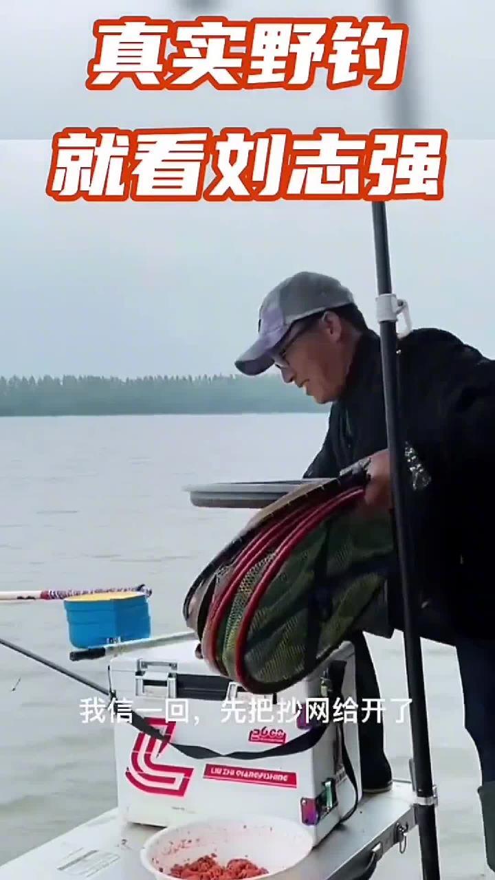刘志强野钓，鲫鱼大爆护！