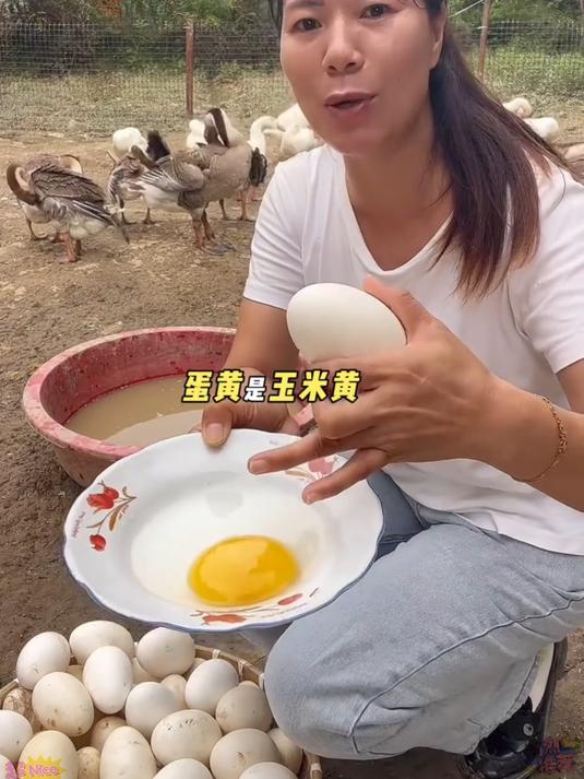 散养土鹅蛋