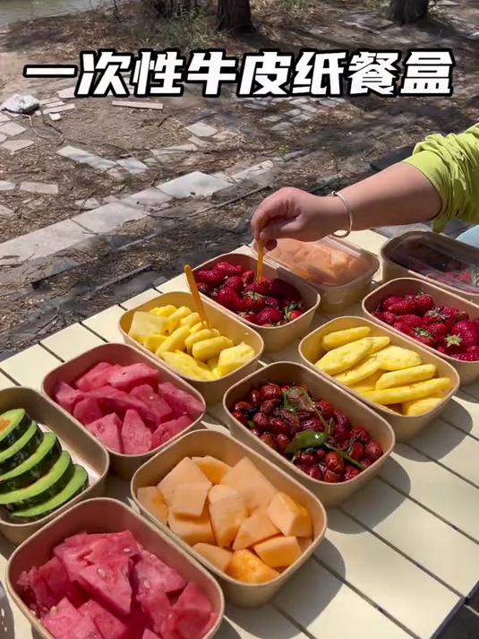 野餐就用这种带盖子的一次性餐盒,装点汤汤水水的菜也不会撒
