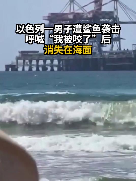 以色列一男子遭鲨鱼袭击 呼喊“我被咬了”后消失在海面
