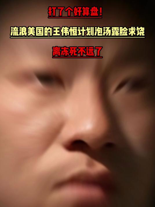 打了个好算盘!流浪美国的王伟恒计划泡汤,露脸求饶离冻死不远了
