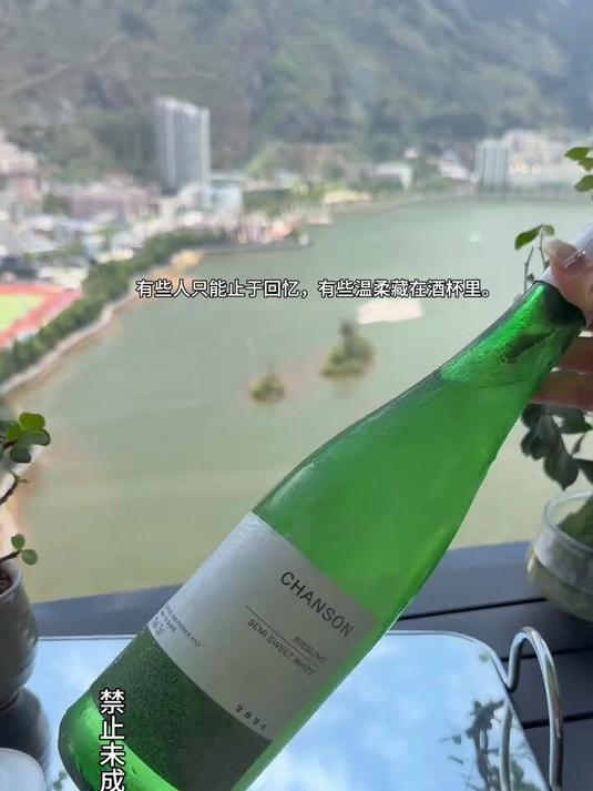 #白葡萄酒天花板#一口沦陷的雷司令白葡萄酒,清爽解腻,撸串聚餐搭配超合适#白葡萄酒推荐#