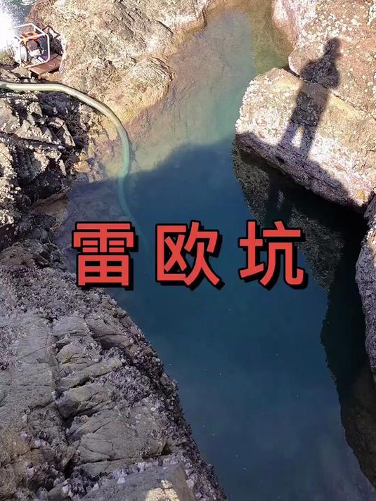 用一整片秋刀鱼打窝5米深坑「雷欧坑」