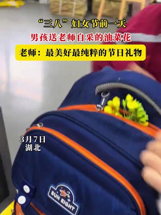 “三八”妇女节前一天,男孩送老师自采的油菜花,老师:最美好最纯粹的节日礼物