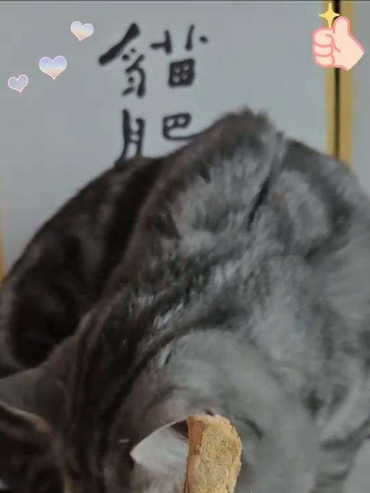 味当家鸡脖冻干猫零食磨牙棒鸡脖子洁齿宠物狗成幼猫咪零食冻干