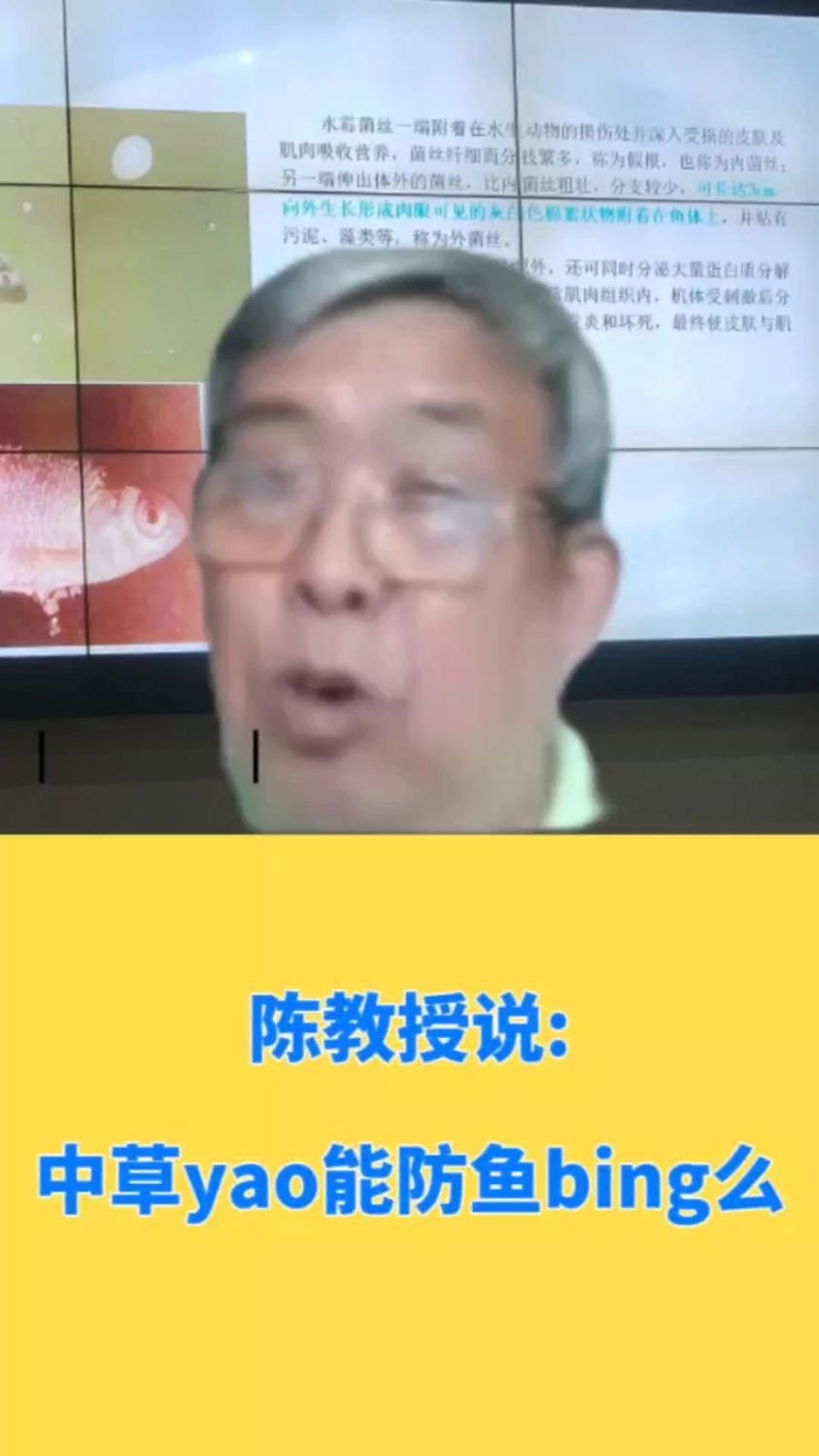 陈教授说:中草药能防鱼病么