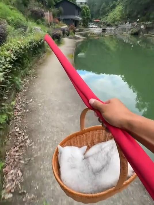 带李屁屁去钓鱼