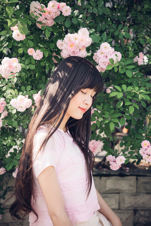 图片[7]-Blooming rose-六色网
