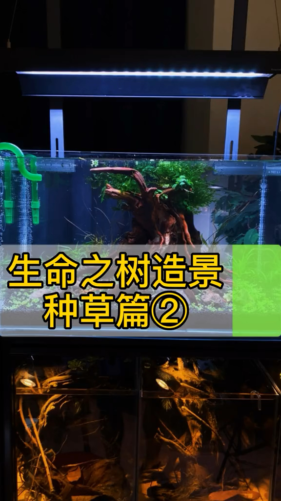 生命之树造景-植物篇