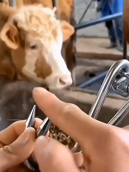 不锈钢挂肉钩真有那么实用?快来一探究竟