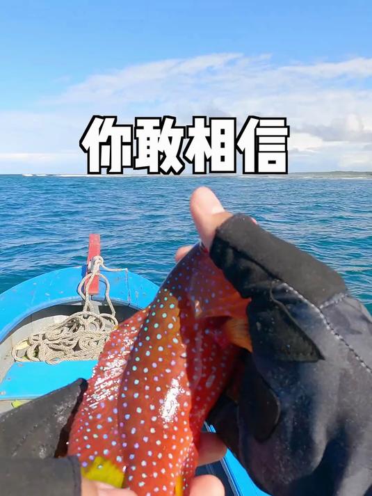 听说这种比东星斑还贵的石斑泛滥了，帅小伙立马带女友前往印尼
