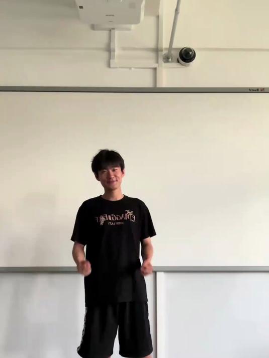 大红公鸡来了大了红的公鸡