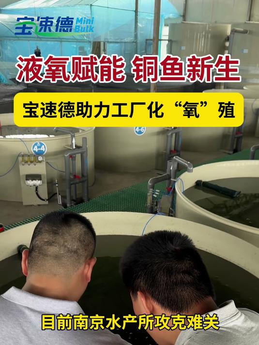 液氧赋能 铜鱼新生-宝速德助力工厂化“氧”殖