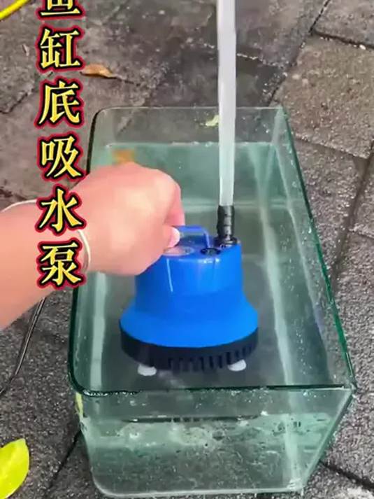 鱼缸抽水换水?底吸潜水泵超实用,水族爱好者必备