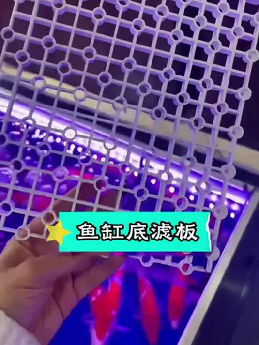 高品质底滤板 解决死水区 让鱼缸水循环无忧
