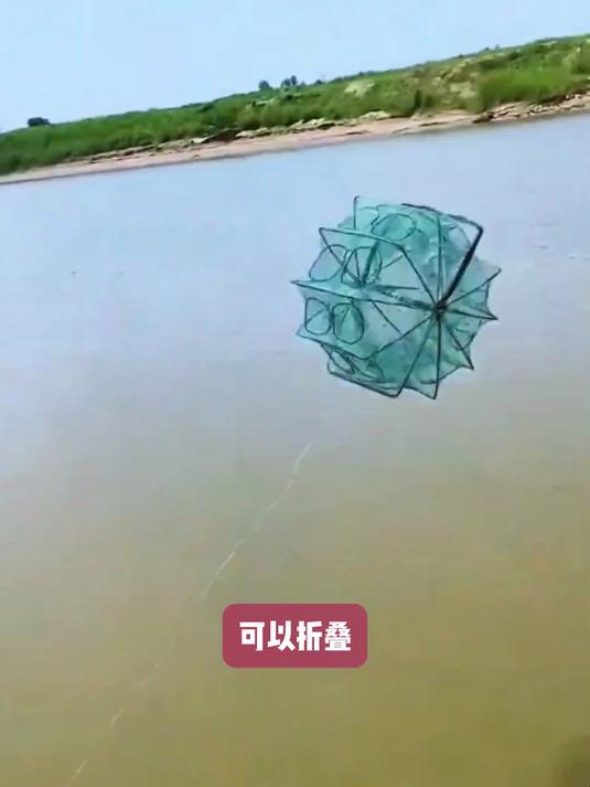 义乌“自动抓鱼地笼”火了，自动诱鱼，1窝上百条，太牛了