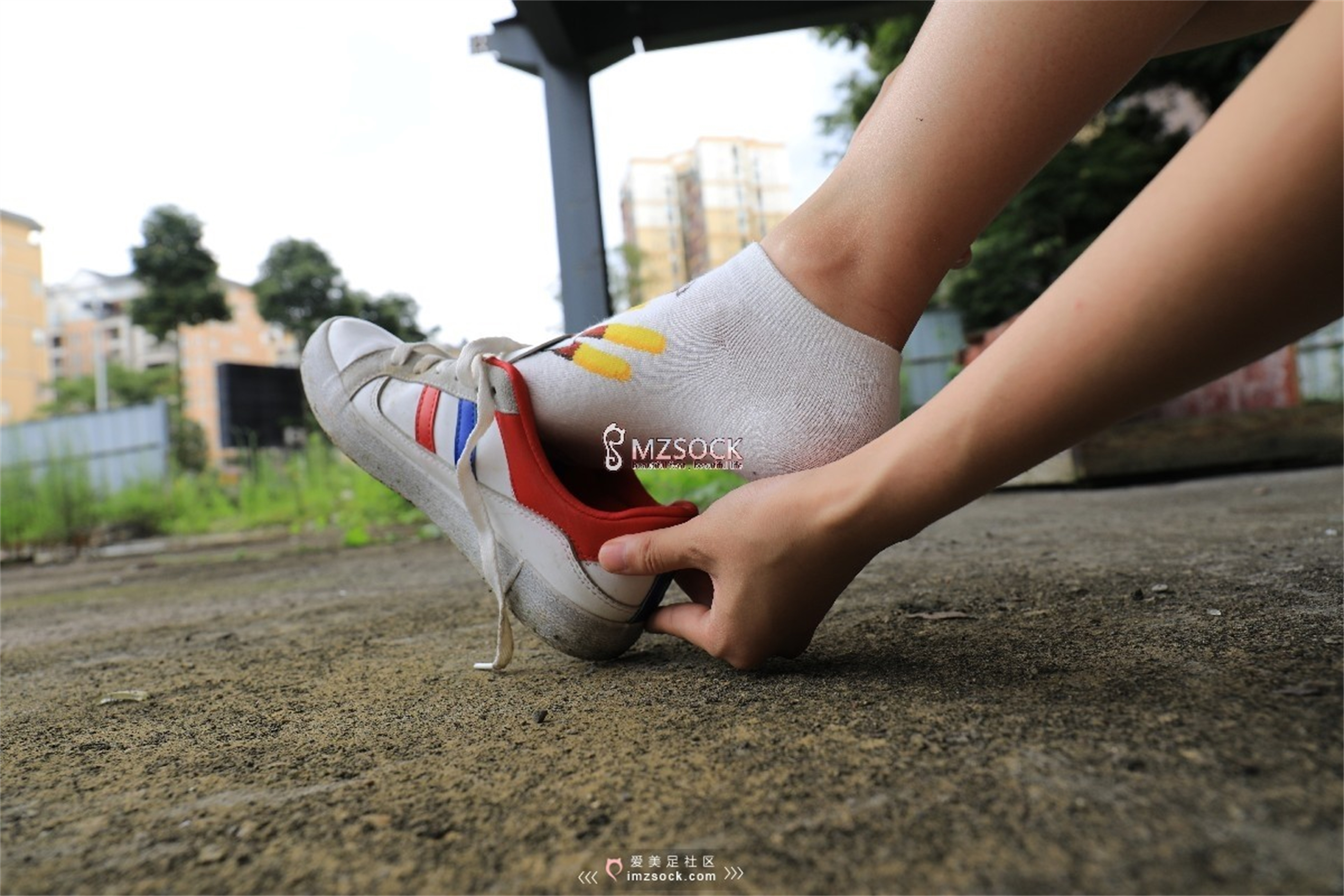 图片[66]-[MZSOCK]爱美足 NO.049 悦悦[122P403M]-六色网