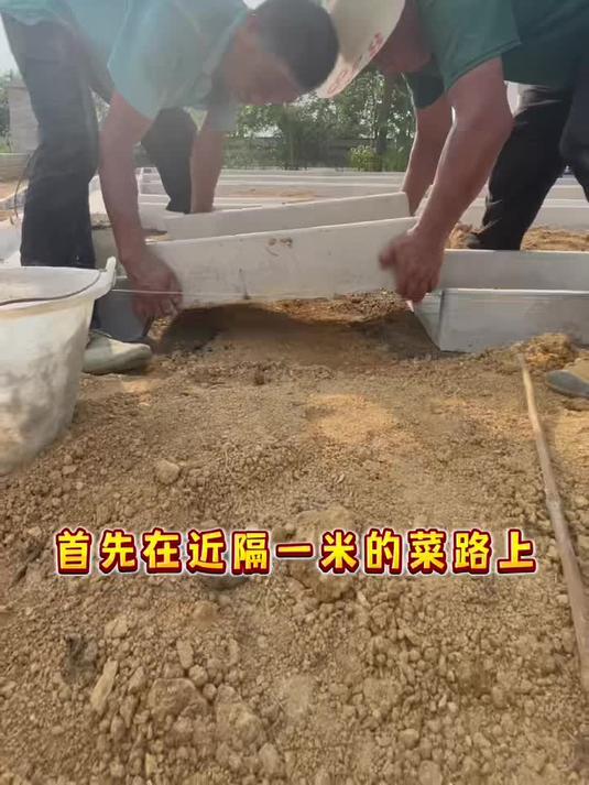 这样的菜园休闲种菜非常舒服干净又美观