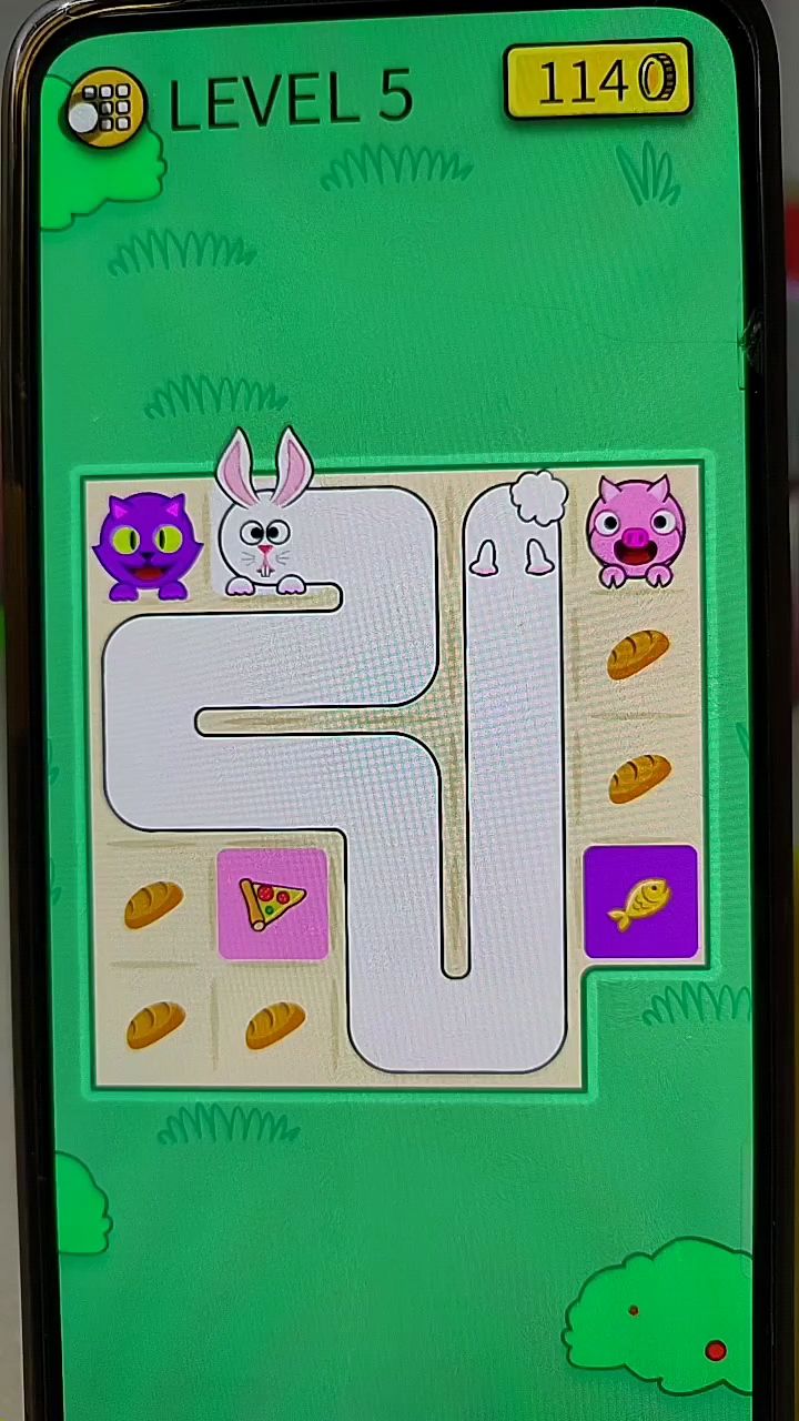 小动物来吃面包了