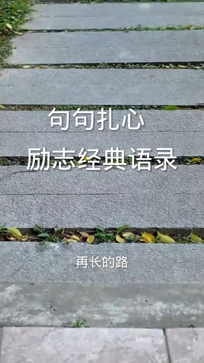 励志经典语录第三篇