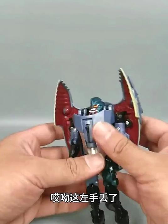 变形金刚 野兽之战 地狱蜘蛛 冥啸 生化鲨鱼