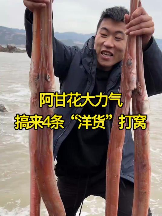 阿甘为了给本土鱼儿尝尝鲜，从外地搞了4条没见过的洋货打窝