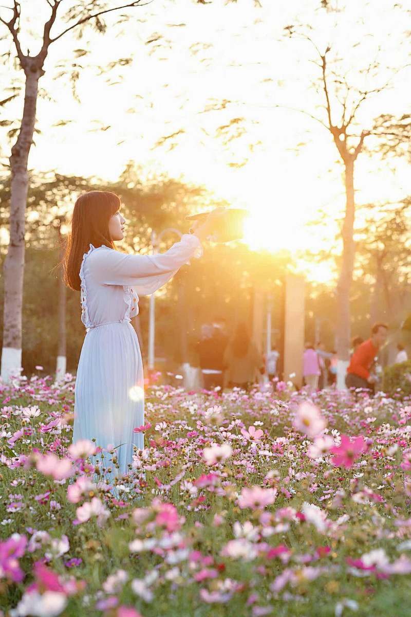 图片[17]-格桑花-六色网