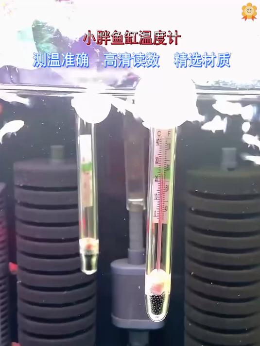 小胖带磁吸，贴钢缸不依赖吸盘！玻璃钢缸通用，安装位置更灵活