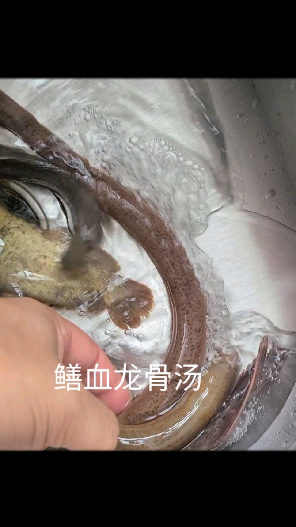 鳝血龙骨汤,一品原味靓汤。