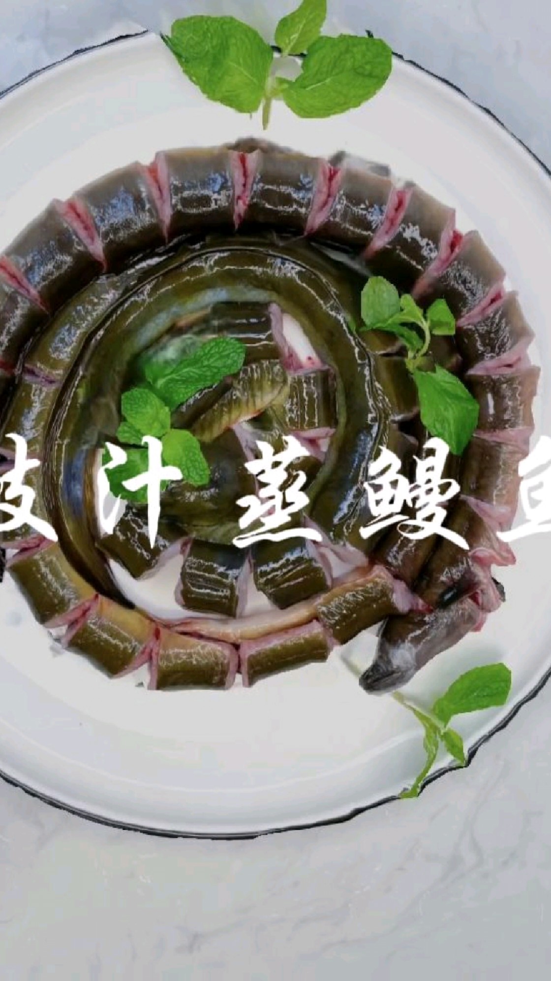 客家豆瓣酱蒸山鳗,鳗鱼活体到家