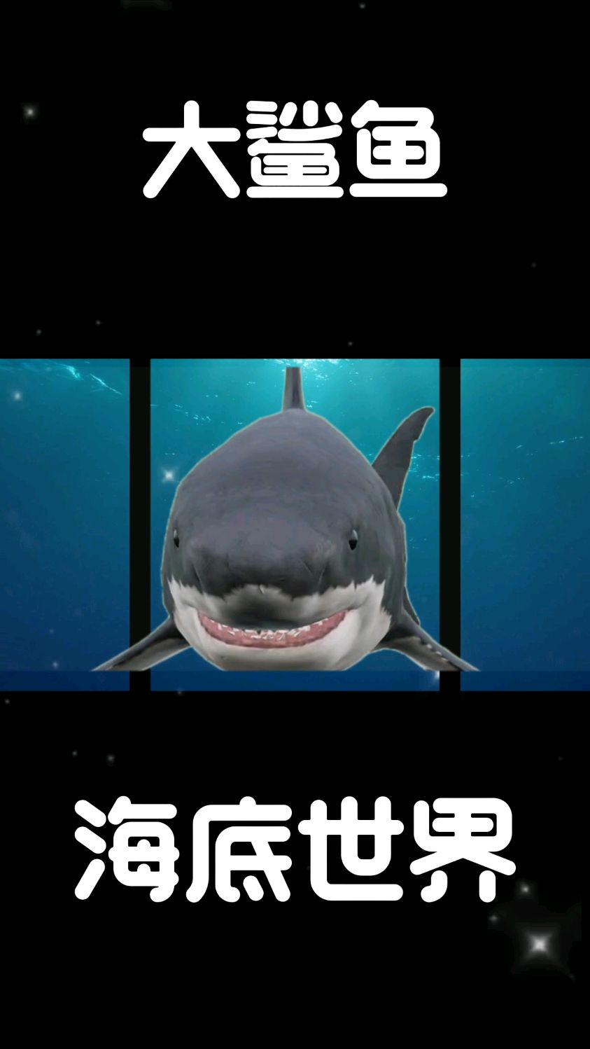 海底世界~大鲨鱼