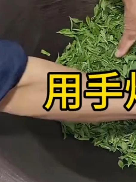 存手工炒茶的过程