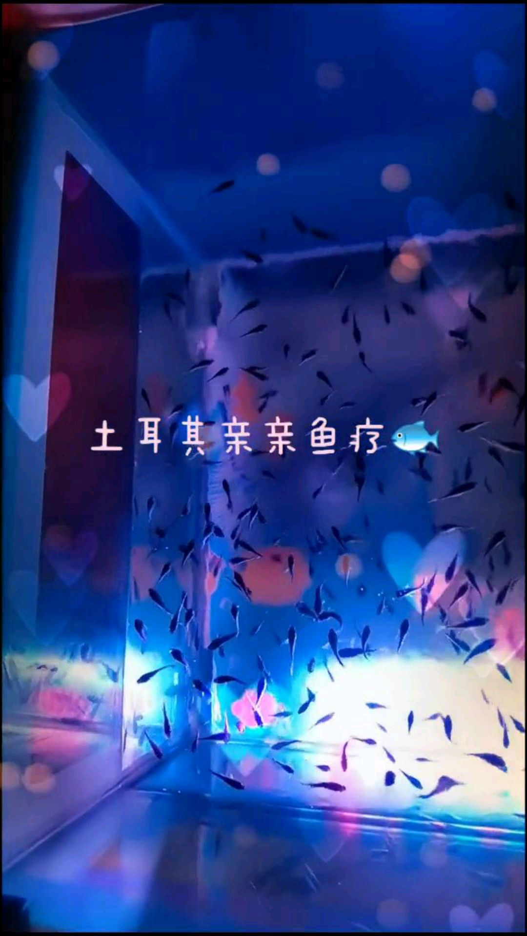 又来做做鱼疗了,从来没有过的刺激