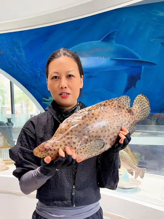 这么丑的鱼竟然是四大鱼王老鼠斑