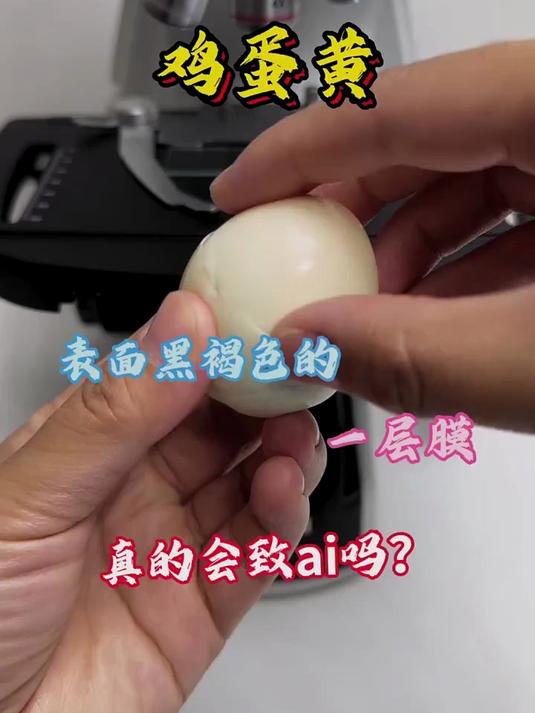 鸡蛋表面那层黑褐色膜吃的真的会致癌吗?鸡蛋黄 科普 显微镜