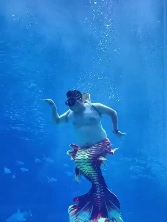 水中表演的美人鱼