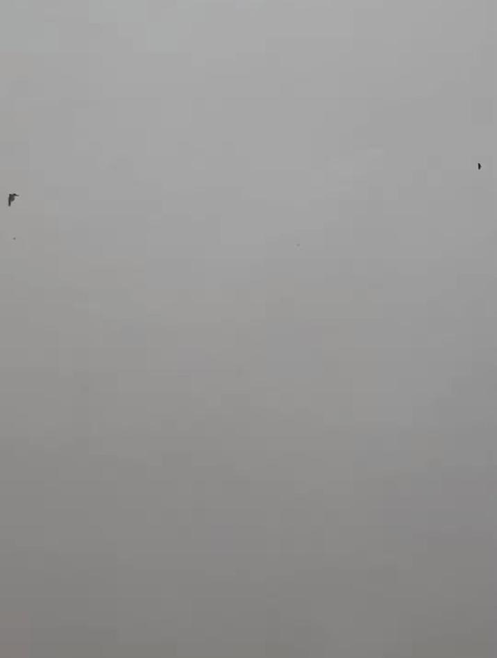 跟着视频学画画:画长颈鹿
